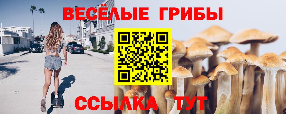 Галлюциногенные грибы Cubensis  Вход с VPN  Галлюциногенные грибы мухоморы  Новоуральск 