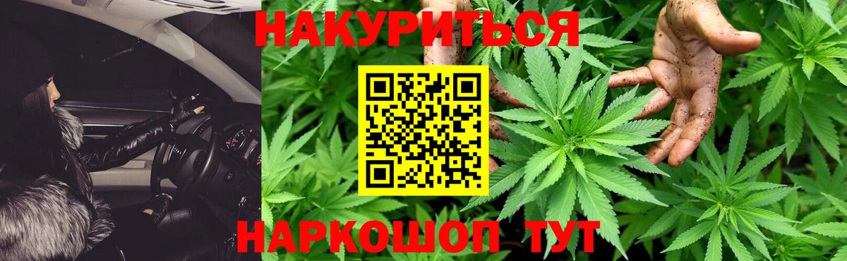 Бошки марихуана планчик  Вход с VPN  Конопля тримм  Канабис MAZAR  Новоуральск  Конопля MAZAR 